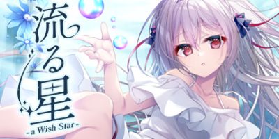 流星 -a wish star-/流る星 -a wish star-