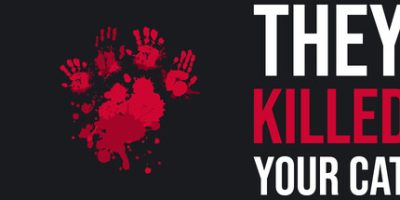 他们杀了你的猫/They Killed Your Cat