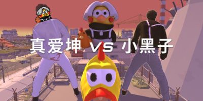 真爱坤vs小黑子/IKUN vs XHZ
